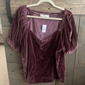 NWT Loft velvet blouse plum color